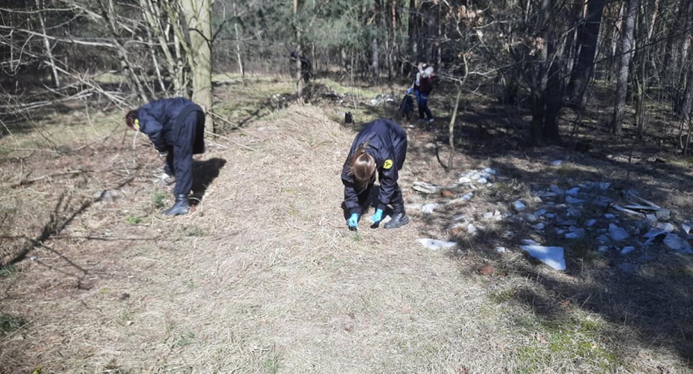 Międzynarodowy Dzień Lasów – żywa lekcja kształtowania postaw proekologicznych