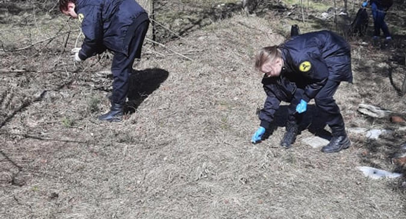 Międzynarodowy Dzień Lasów – żywa lekcja kształtowania postaw proekologicznych